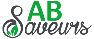 AB Saveurs légumes bio Bretagne, Finistère, Cléder